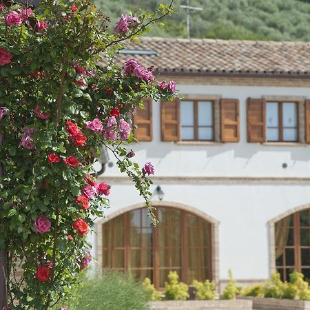 Terra Del Sole Villa Recanati Exterior photo
